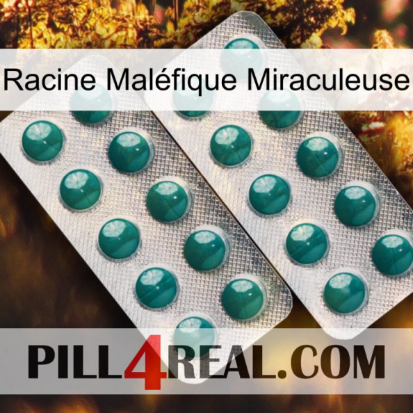 Racine Maléfique Miraculeuse dapoxetine2.jpg